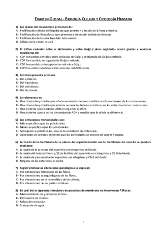 Examen global 1.pdf