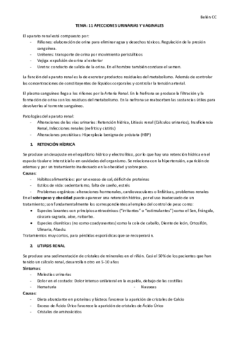 tema-11-NF.pdf