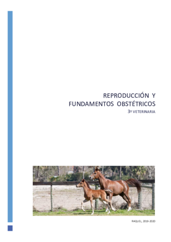 REPRODUCCION-1-6.pdf