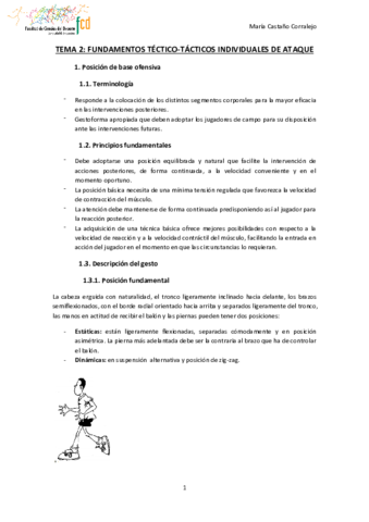 TEMA-2-BALONMANO.pdf