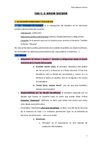 TEMA-12.pdf