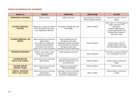 MUSCULOS-DEL-ANTEBRAZO.pdf