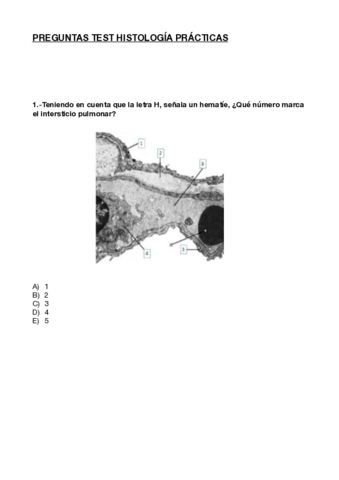 Test-histologia-practicas.pdf