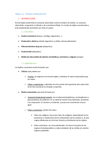 TEMA-11-apuntes.pdf