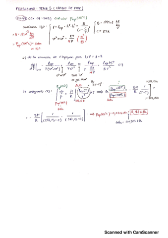 ejercicios-examen-cambio-de-fase.pdf