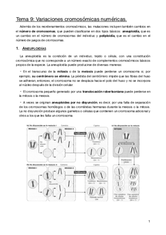 Limpio-Tema-9-genetica.pdf