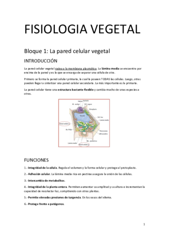 Apuntes-primer-cuatri-f.pdf