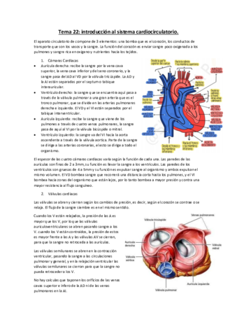 cardio.pdf