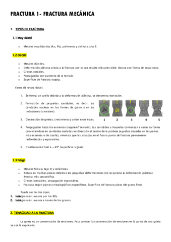 FRACTURA-1.pdf