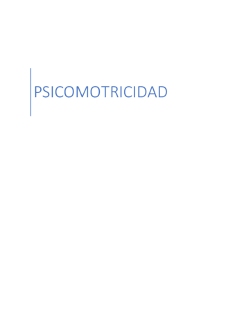 Psicomotricidad.pdf