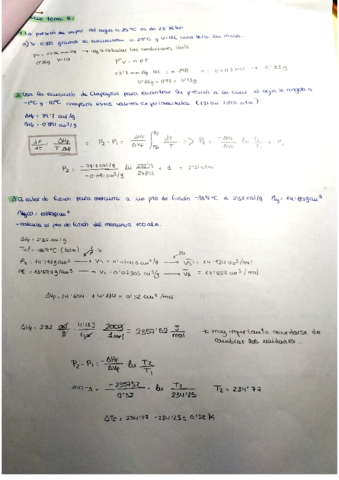 termo-tema-6.pdf