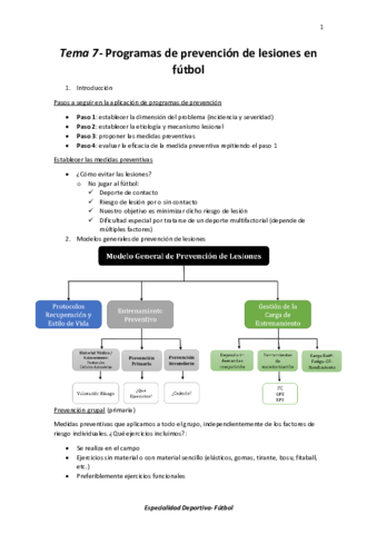 Tema-7-Programas-de-prevencion-de-lesiones-en-futbol.pdf