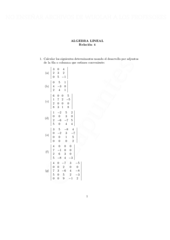 rel4-con-marca-de-agua-con-marca-de-agua.pdf