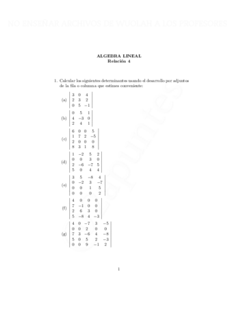 rel4-con-marca-de-agua-con-marca-de-agua.pdf