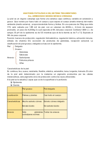 SISTEMA-TEGUMENTARIO.pdf