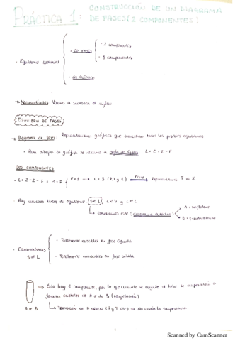 Practicas-fisicoquimica-II.pdf