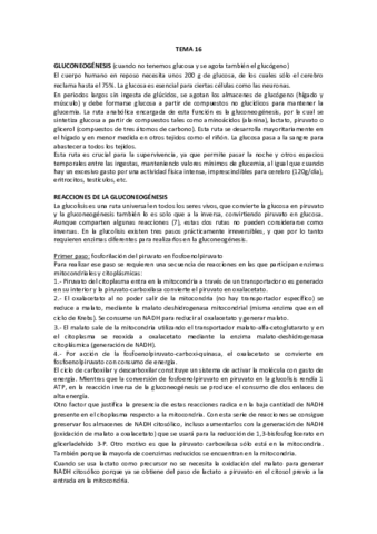 Temas 16-20.pdf