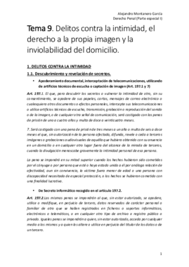 Tema 9. Alejandro Montanero.pdf
