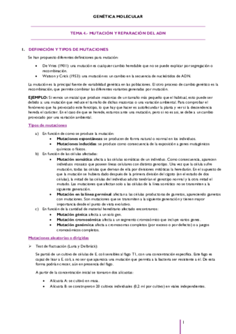 TEMA-4.pdf