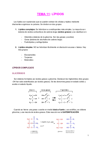 TEMA-11-QO.pdf