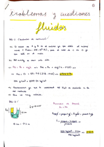 Fluidos.pdf