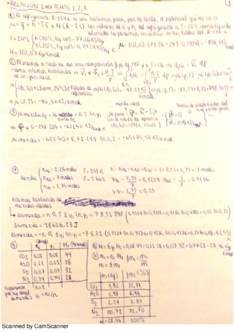 Ejercicios Resueltos Relaciones 12345.pdf