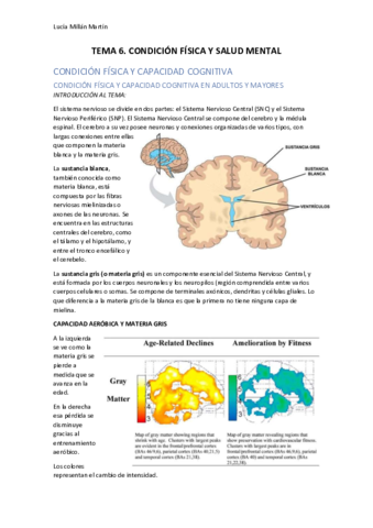 TEMA-6.pdf