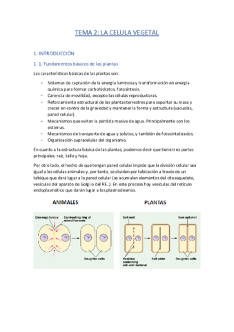 TEMA-2.pdf