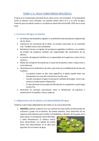 Tema-3-Fisio-Vegetal.pdf