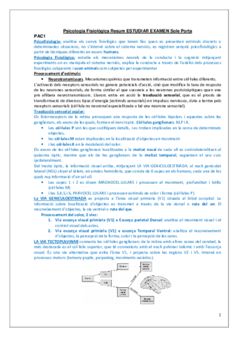 Soleresum-ESTUDIAR.pdf