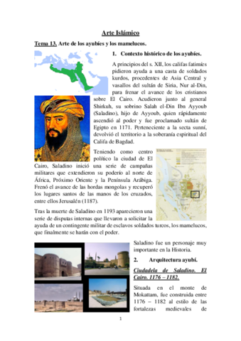 Tema-13.pdf