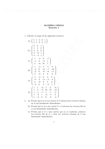 rel5-con-marca-de-agua-con-marca-de-agua.pdf