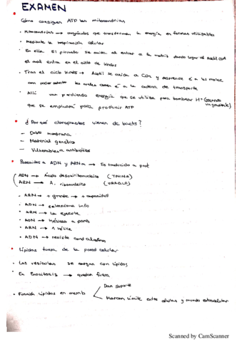 NuevoDocumento-2020-01-02-13.pdf