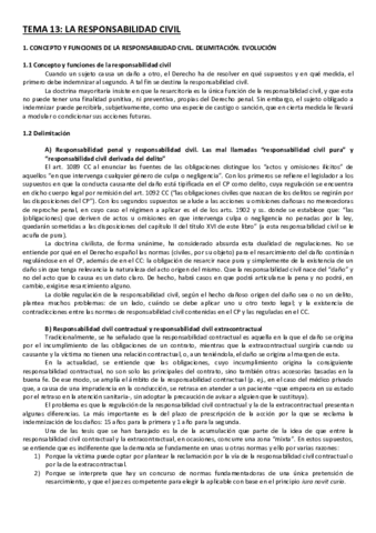 Tema-13.pdf