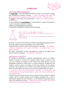 temario completo procesal penal.pdf