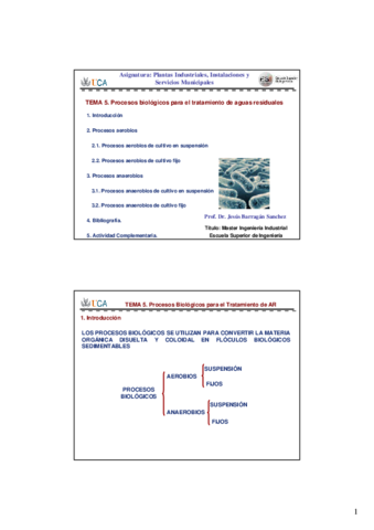 Tema-5-Procesos-Biologicos.pdf