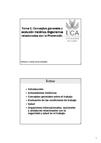 MIIPrevencionTema1.pdf
