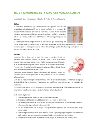 BLOC-1-DIGESTIU-.pdf