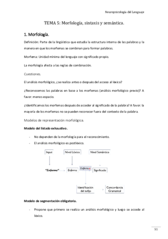 tema-5-neuro-lenguaje-2019.pdf