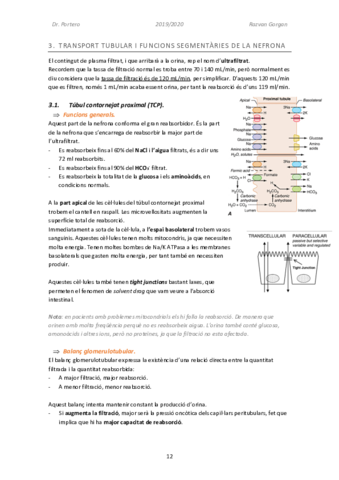 Fisiologia-Renal-Part-2.pdf