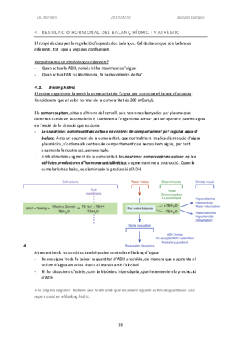 Fisiologia-Renal-Part-3.pdf