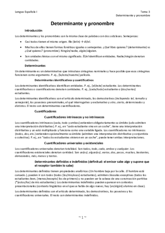 Determinante-y-pronombre.pdf
