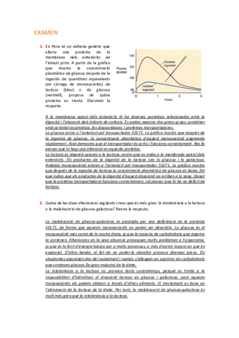 EXAMEN.pdf