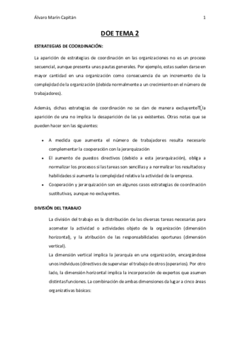DOE-TEMA-2-parte-final.pdf