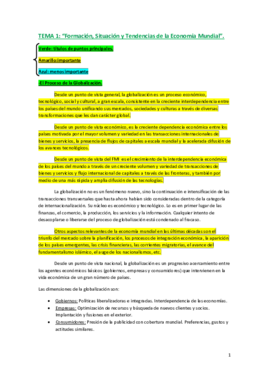 Temas 1-6 Desarrollados.pdf