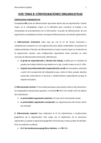 DOE-TEMA-8.pdf