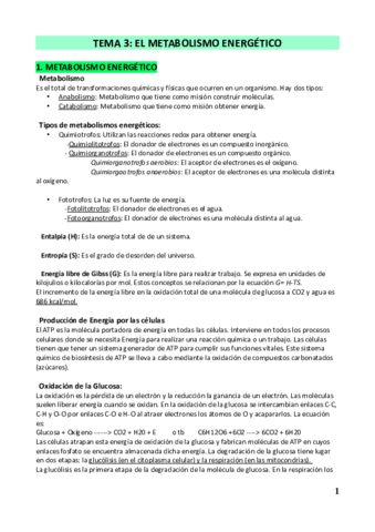 Resumen-Tema-3-Biologia-I.pdf