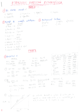 Ejercicios resueltos Dirección estratégica. (Todos los temas).pdf