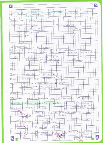 temas8UnionAtornilladaYTornillos.pdf