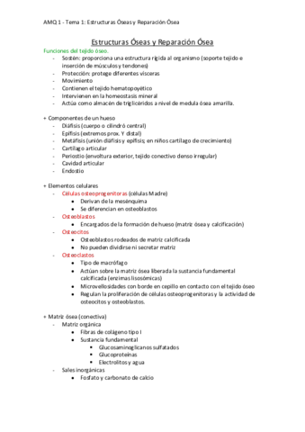 Oseo. T1 - Estructuras Óseas y Reparación Ósea .pdf
